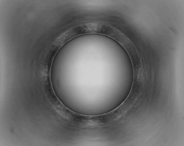 X0000112180737200908071326