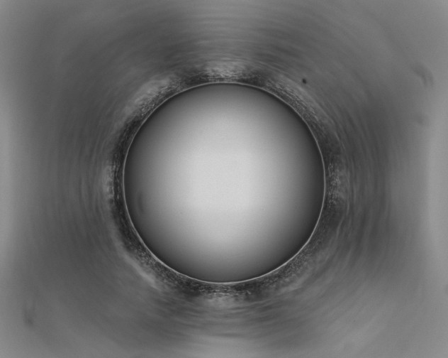 X0000112180738200908071326