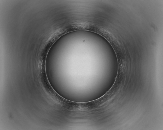 X0000112180739200908071326