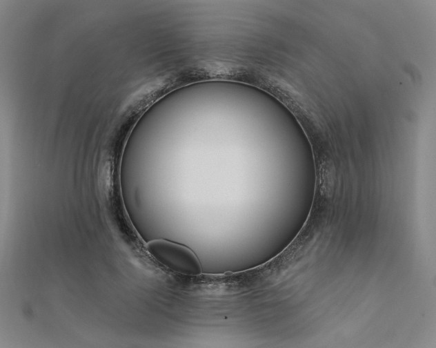 X0000112180740200908071326