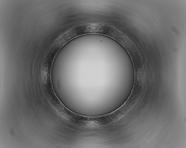 X0000112180741200908071326