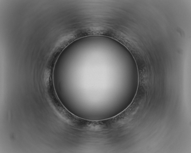 X0000112180742200908071326