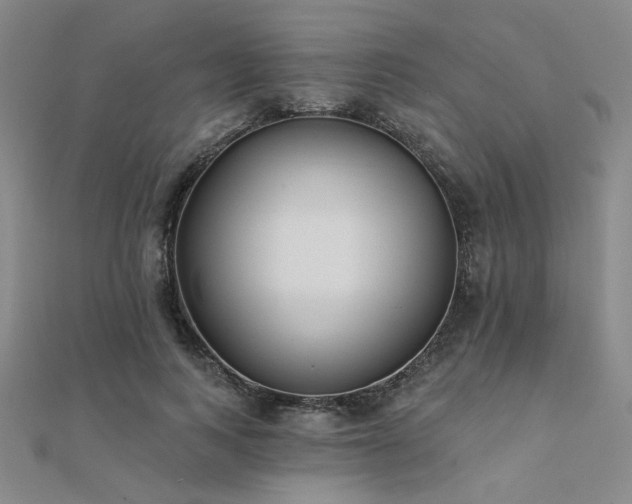 X0000112180743200908071326