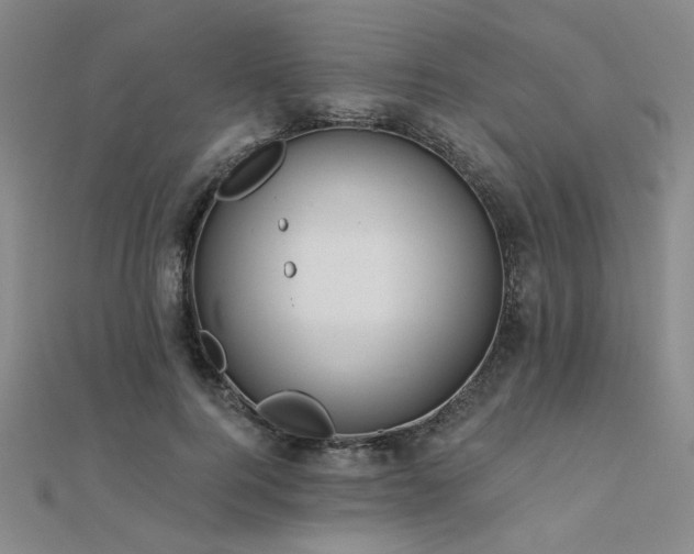 X0000112180744200908071326