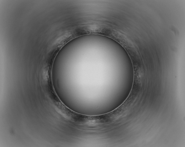 X0000112180746200908071326