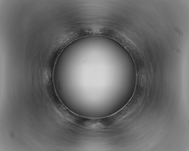 X0000112180747200908071326