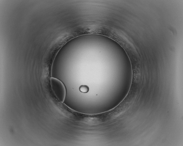 X0000112180748200908071326