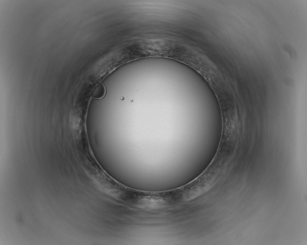 X0000112180749200908071326