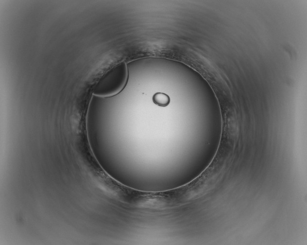 X0000112180750200908071326