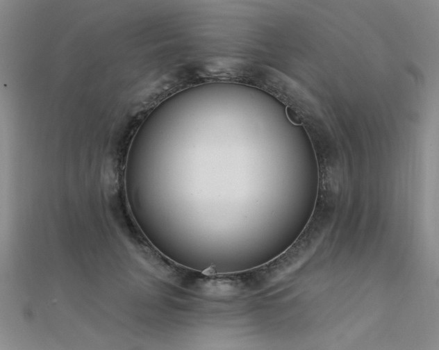 X0000112180751200908071326