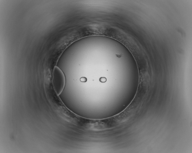 X0000112180752200908071326