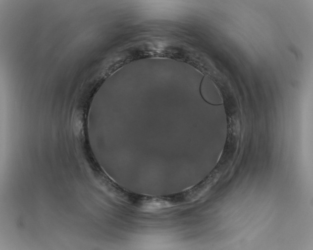 X0000112180754200908071326