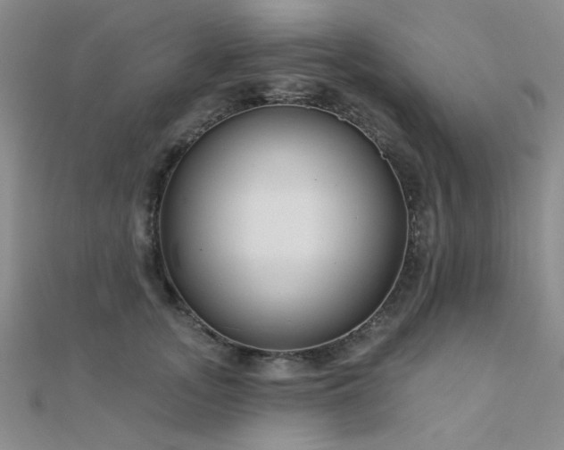 X0000112180755200908071326