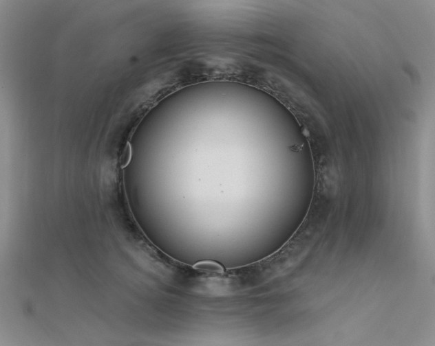 X0000112180756200908071326