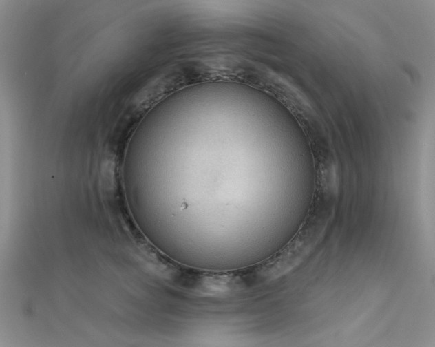 X0000112180757200908071326