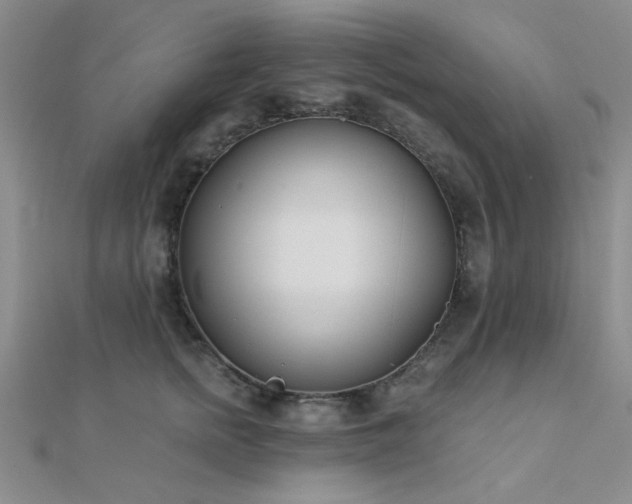 X0000112180758200908071326