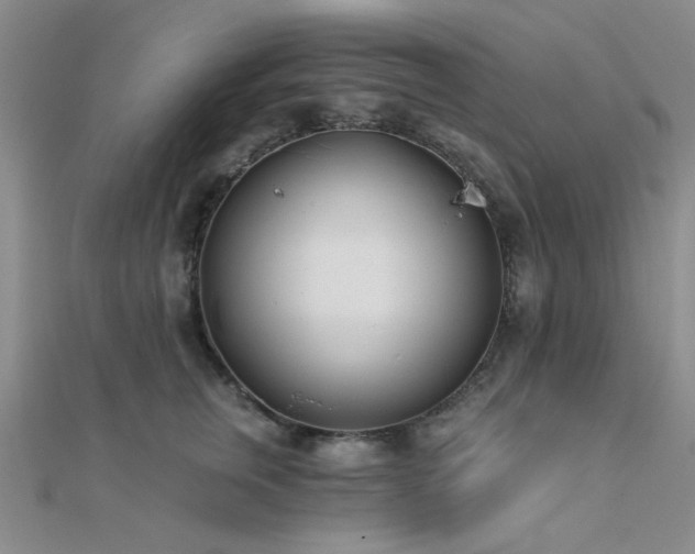 X0000112180759200908071326