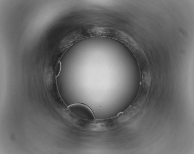 X0000112180760200908071326