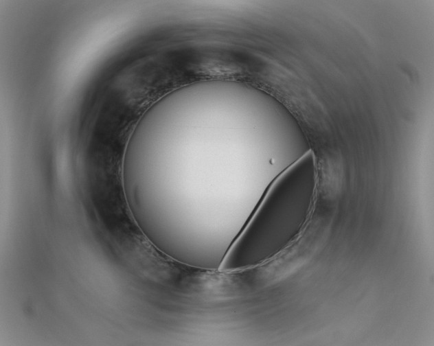 X0000112180762200908071326