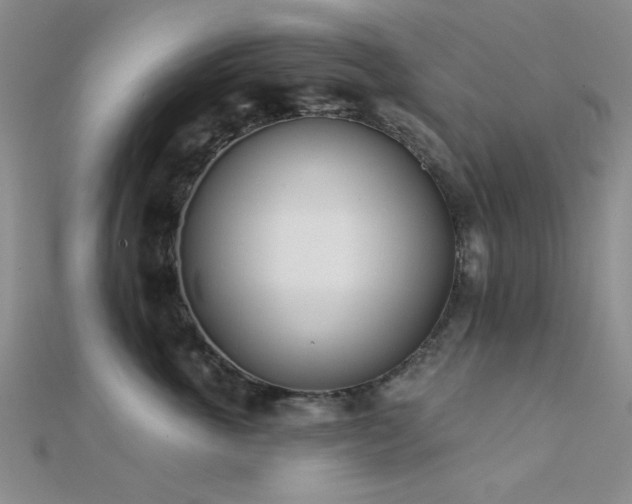 X0000112180763200908071326