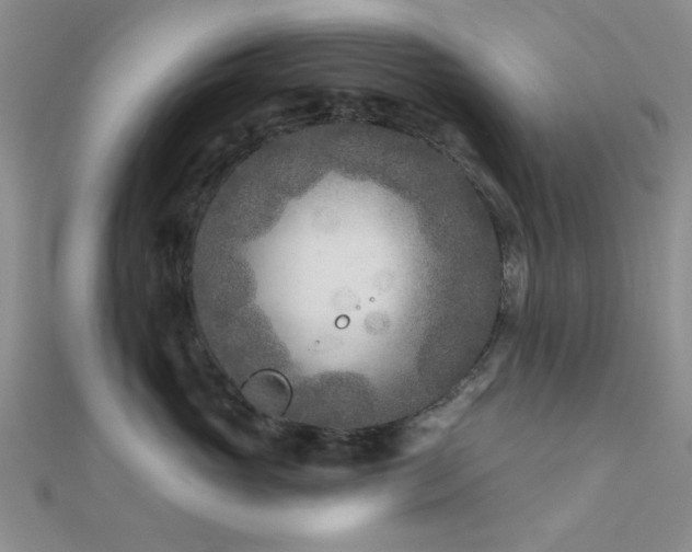 X0000112180765200908071326