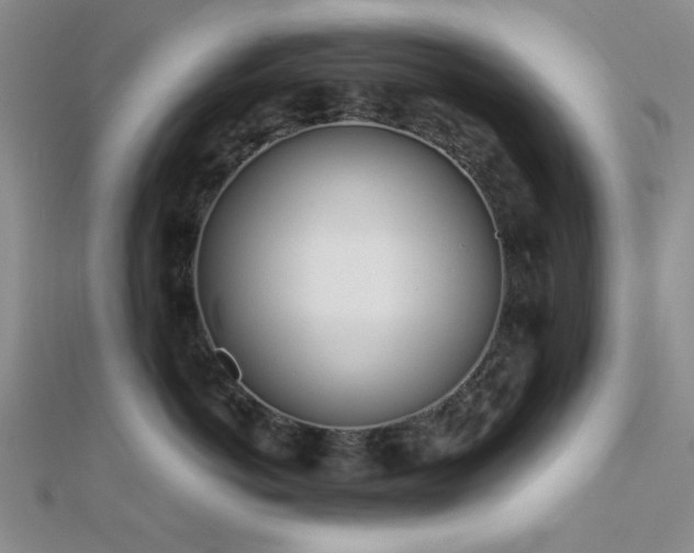 X0000112180766200908071326