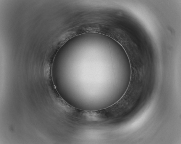 X0000112180767200908071326