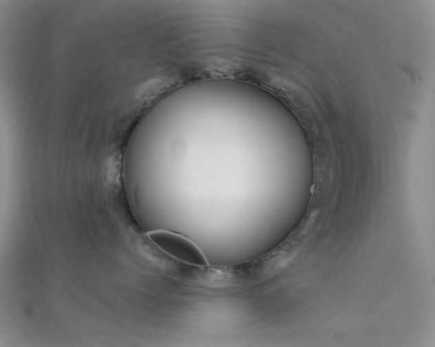 X0000112180768200908071326