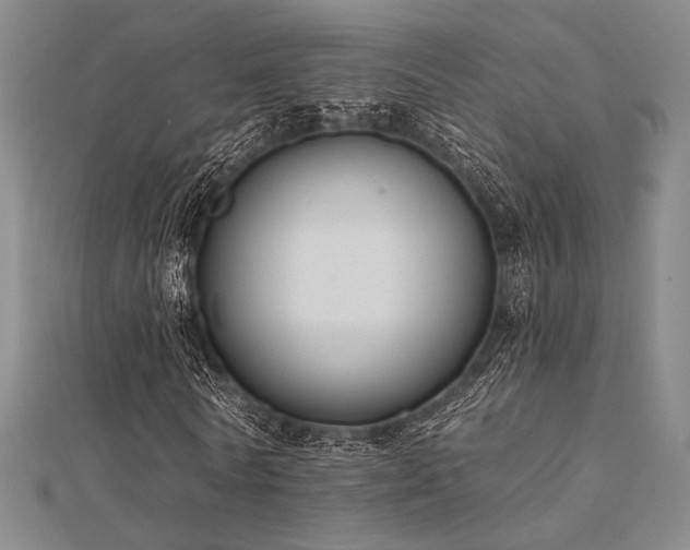 X0000112180770200908071325