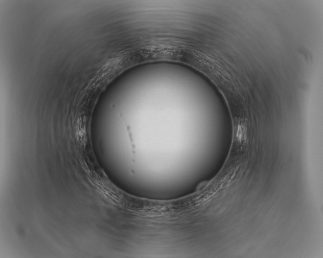 X0000112180771200908071325