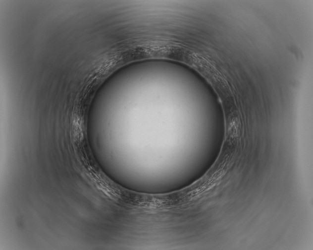 X0000112180772200908071325