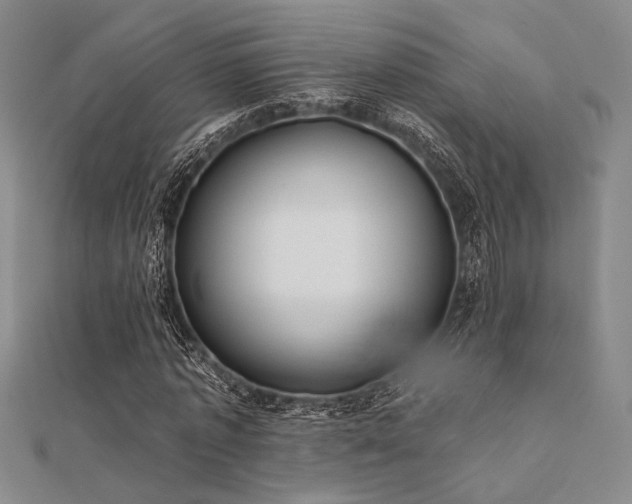 X0000112180773200908071325