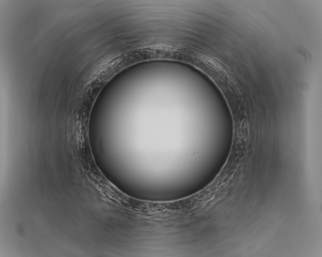 X0000112180774200908071325