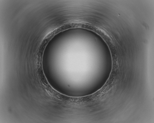 X0000112180775200908071325