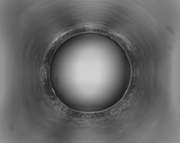 X0000112180776200908071325