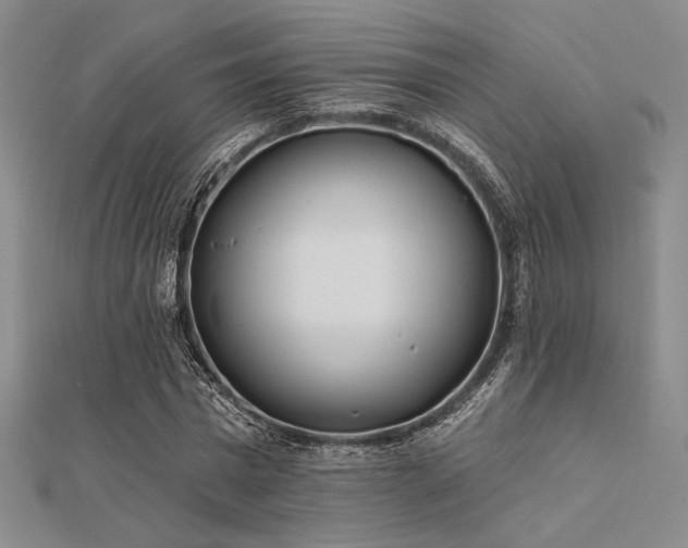 X0000112180777200908071325