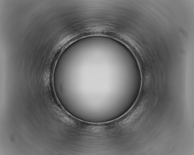 X0000112180778200908071325