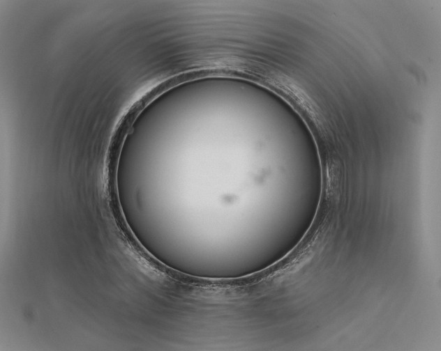 X0000112180780200908071325