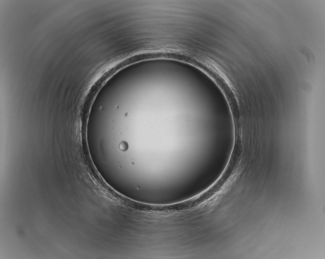 X0000112180781200908071325