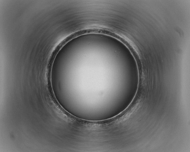 X0000112180783200908071325