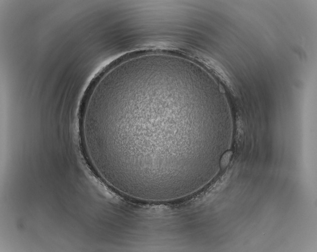 X0000112180784200908071325