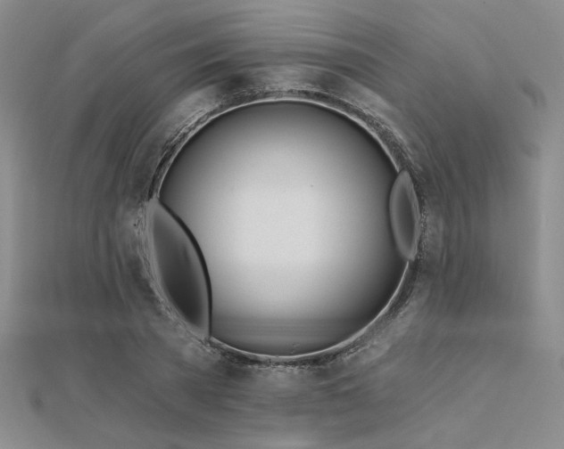 X0000112180785200908071325