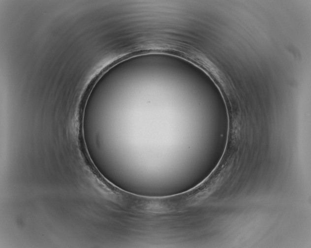 X0000112180787200908071325