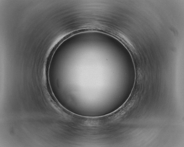 X0000112180788200908071325