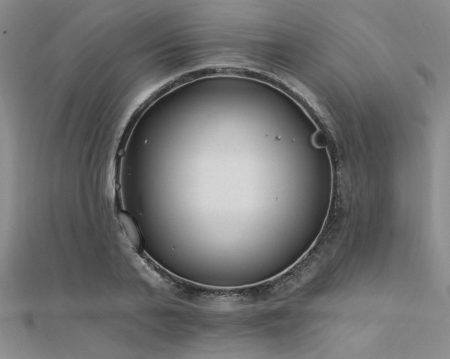 X0000112180791200908071325