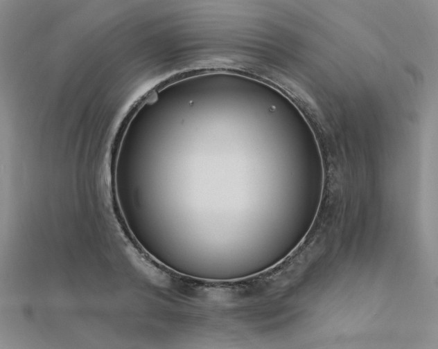 X0000112180792200908071325