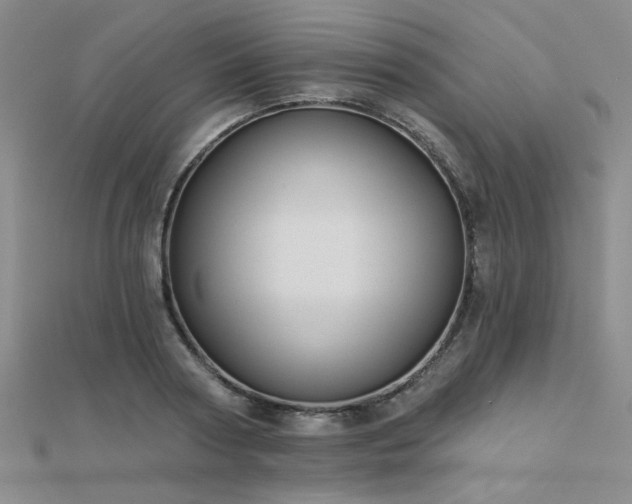 X0000112180794200908071325