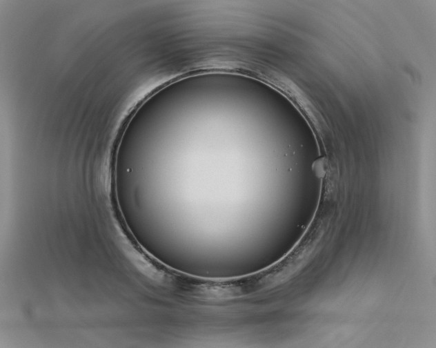 X0000112180795200908071325