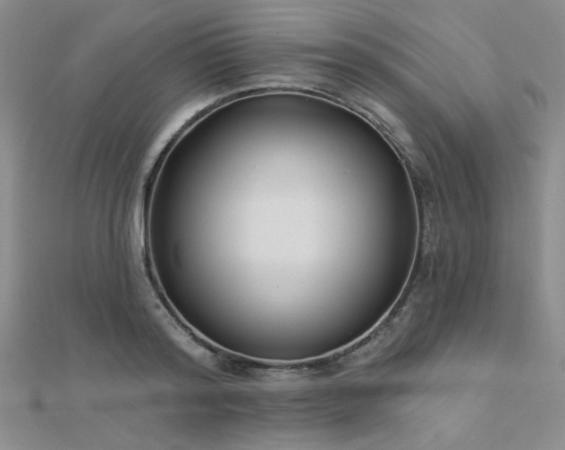 X0000112180796200908071325