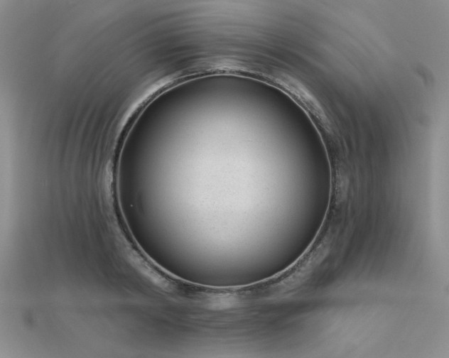 X0000112180798200908071325